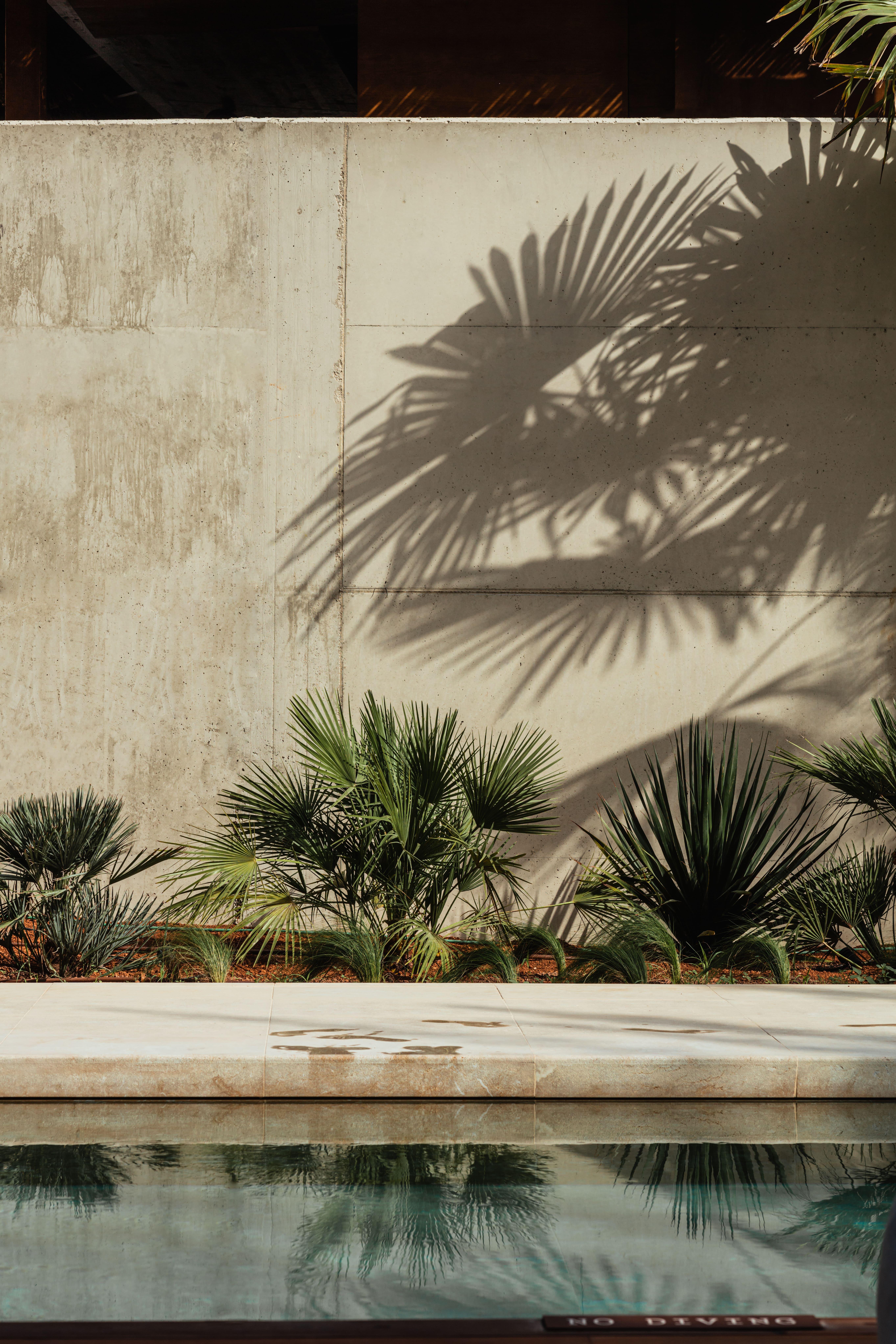 Oku Ibiza (Adults Only) Hotel Sant Antoni de Portmany Екстериор снимка Palm shadow